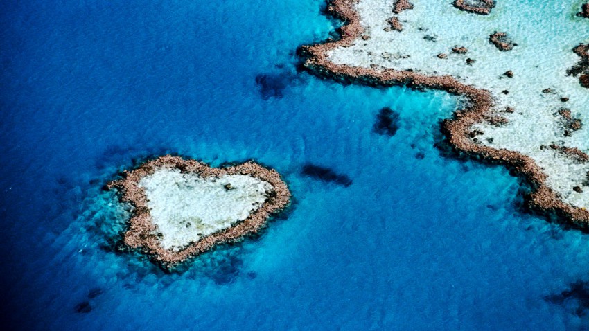 Heart-Shaped Islands