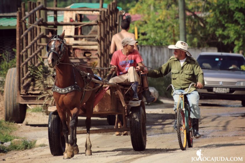 Joaocajuda.com - Cuba - João Cajuda - Travel Blog 322